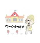 スタンプーロックの日常会話（個別スタンプ：4）