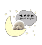 スタンプーロックの日常会話（個別スタンプ：6）