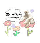 スタンプーロックの日常会話（個別スタンプ：10）