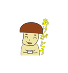 きのぴぃ（個別スタンプ：1）