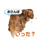 マクレナスタンプVol.1（個別スタンプ：5）