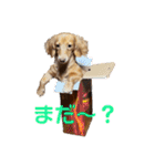 マクレナスタンプVol.1（個別スタンプ：12）