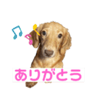 マクレナスタンプVol.1（個別スタンプ：20）