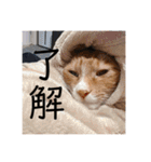 ムートン君2（個別スタンプ：3）