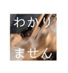 ムートン君2（個別スタンプ：6）