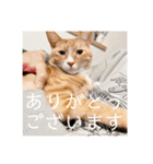 ムートン君2（個別スタンプ：7）