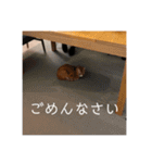 ムートン君2（個別スタンプ：8）