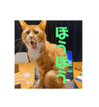 ムートン君2（個別スタンプ：14）