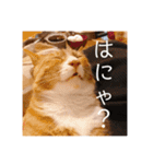 ムートン君2（個別スタンプ：21）