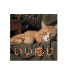ムートン君2（個別スタンプ：23）