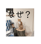 ムートン君2（個別スタンプ：24）