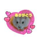 さやかのぴぴ（個別スタンプ：1）