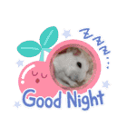 さやかのぴぴ（個別スタンプ：3）