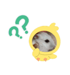 さやかのぴぴ（個別スタンプ：4）