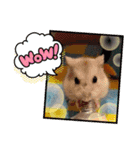 さやかのぴぴ（個別スタンプ：5）