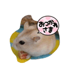 さやかのぴぴ（個別スタンプ：11）