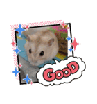さやかのぴぴ（個別スタンプ：22）