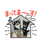 なにるんコンビ（個別スタンプ：2）
