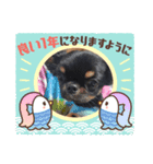 なにるんコンビ（個別スタンプ：3）