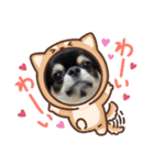 なにるんコンビ（個別スタンプ：8）