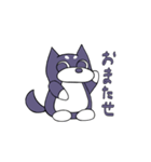 のんきなしば犬（個別スタンプ：9）