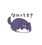 のんきなしば犬（個別スタンプ：17）