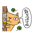 Juns猫の毎日スタンプ（個別スタンプ：8）