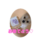 JERRY☺︎︎︎︎（個別スタンプ：4）