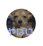 JERRY☺︎︎︎︎（個別スタンプ：8）