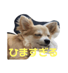 JERRY☺︎︎︎︎（個別スタンプ：9）