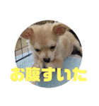 JERRY☺︎︎︎︎（個別スタンプ：14）