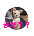 JERRY☺︎︎︎︎（個別スタンプ：15）