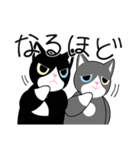 黒ハチワレねこさん＆灰ハチワレねこさん（個別スタンプ：26）