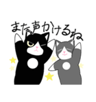 黒ハチワレねこさん＆灰ハチワレねこさん（個別スタンプ：37）