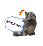 うちの箱入り息子（個別スタンプ：6）