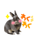 うちの箱入り息子（個別スタンプ：8）
