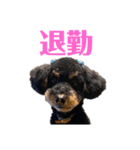 mimico1（個別スタンプ：2）