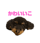 mimico1（個別スタンプ：6）