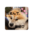 ひめかのあざといスタンプ（個別スタンプ：6）