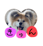 ひめかのあざといスタンプ（個別スタンプ：8）