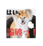 ひめかのあざといスタンプ（個別スタンプ：11）