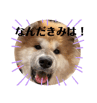 ひめかのあざといスタンプ（個別スタンプ：14）