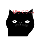 そらまめは黒猫（個別スタンプ：5）