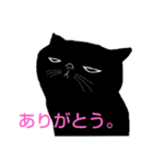 そらまめは黒猫（個別スタンプ：36）