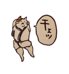 ちゃきちゃき江戸っ子日本猫（個別スタンプ：29）