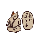 ちゃきちゃき江戸っ子日本猫（個別スタンプ：34）