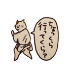 ちゃきちゃき江戸っ子日本猫（個別スタンプ：39）