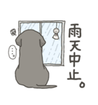 黒ラブ ロビン スタンプ 梅雨 バージョン（個別スタンプ：2）