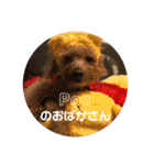 ぽんちんにょにょ（個別スタンプ：1）