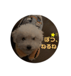 ぽんちんにょにょ（個別スタンプ：7）